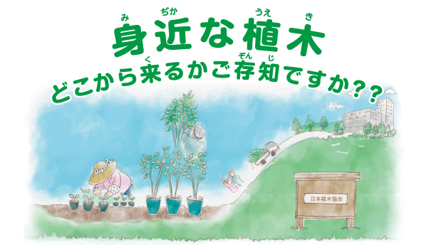 身近な植木どこから来るかご存知ですか？