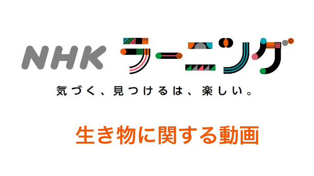 NHKラーニング　生き物に関する動画